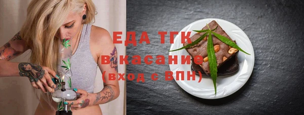 индика Вяземский