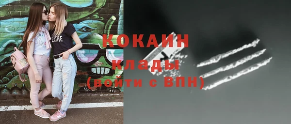индика Вяземский