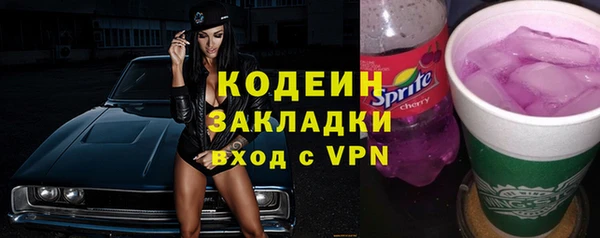 индика Вяземский
