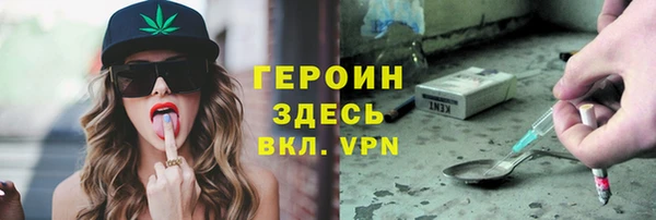 индика Вяземский