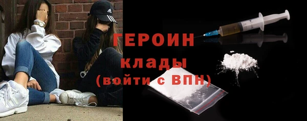 индика Вяземский