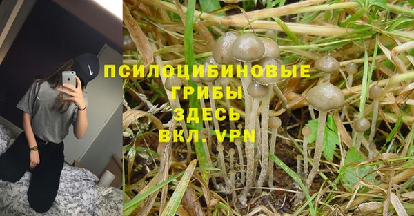 дурь Володарск