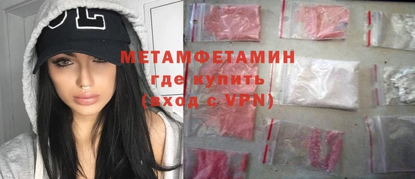 прущие грибы Волоколамск